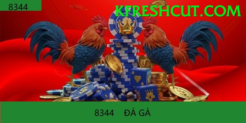 Đá Gà Trực Tiếp - Trải nghiệm tuyệt vời